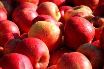 apples in a market