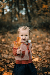 Curly haired blonde toddler girl in seasonal jacket outfit holding fall leaf outdoors in wooded autumn setting
