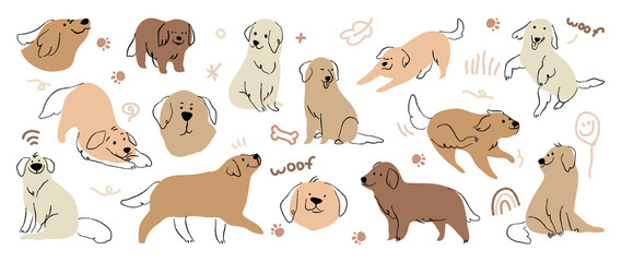 Cute Golden Retriever and Labrador Retriever dog hand drawn vector set. Cartoon dog or puppy characters design collection with flat color in different poses. - obrazy, fototapety, plakaty