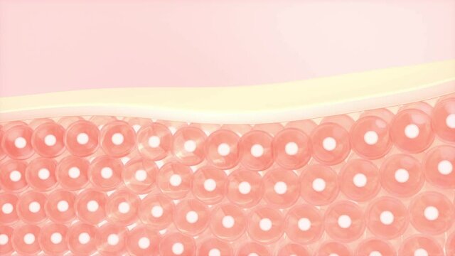 Cells and skin, 3d rendering.