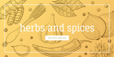 Set of seasoning and culinary plant, hand drawn sketch vector illustration, vintage engraving condiment collection, template for book cover or wallpaper.