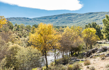 Fototapeta premium Lozoya river, with the colors of autumn, as it passes through the Sierra de Guadarrama in the province of Madrid