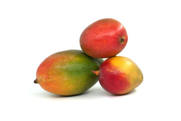 Multicolored mango fruits isolated on a white
