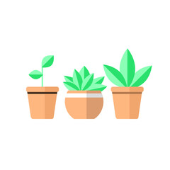 Indoor and outdoor landscape garden potted plants isolated on white. Vector set green plant in pot, illustration of flowerpot bloom. Pot plant set. Plant in pot minimal design on white background.