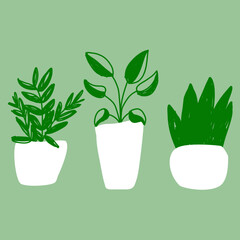 Trees in white pots. Minimal hand drawn style. Vector illustration on green background.