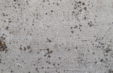 Texture: Concrete with small areas of mold