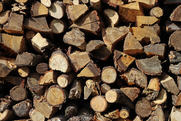 The texture of chopped firewood, harvested for the winter
