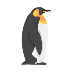 Emperor Penguin as Aquatic Flightless Bird with Flippers for Swimming in Standing Pose Vector Illustration