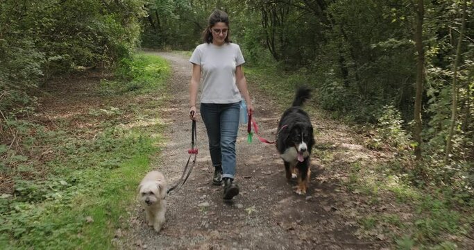 Young woman working as dog sitter in city park. Happy girl walking two dogs outdoors. Leisure and lifestyle with people, pets and animals in countryside