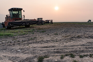 combine harvesters working on the field