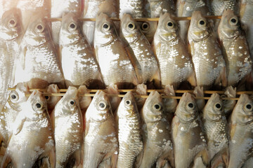 Fresh Thai carp, Silver barb fish or Jullien's golden skewers, Fish skewers.