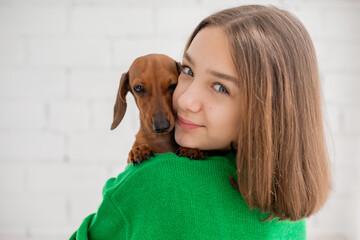 teenage girl in jeans and green sweater holds a small dog dachshund in her arms. favorite pet. girl hugs, kisses, squeezes her beloved dog in her hands. animal care. space for text. High quality photo