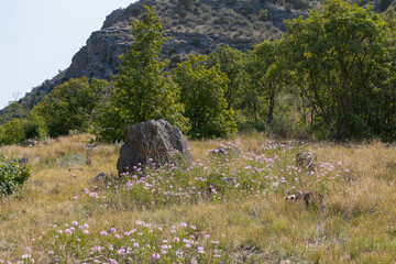 rocks in the mountains