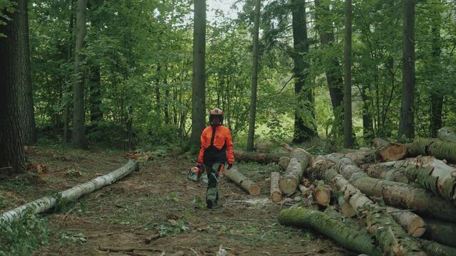 Female logger, walks in the forest, young specialist woman in protective gear holds a chainsaw on her hands and looks at the camera, works on deforestation, 4k slow motion.