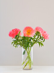 Fototapeta premium The art of floral decorations. A bouquet made of rose peonies in a glass pot against a neutral background. Beautiful flowers.