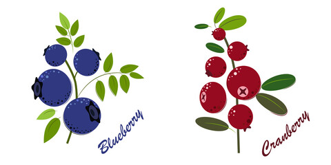 Blueberry and Cranberry. Berries with Green Leaves. Blueberry and Cranberry for jam and dessert. Flat style. Vector Illustration.