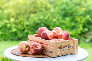 Peach fruit in wooden basket on wooden table in garden, Fresh peach on blurred greenery background, 