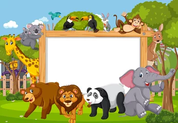 Raamstickers Empty wooden frame with various wild animals in the forest © brgfx