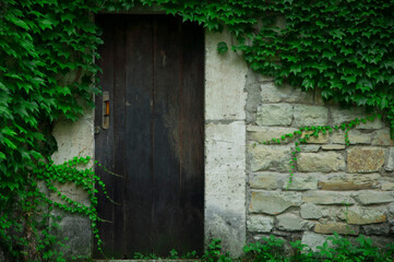 Fototapeta na wymiar old doors with overgrown walls. stone wall with greenery. father's house concept