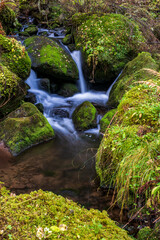 Mountain stream flows through mossy rocks. Small mountain stream and waterfall surrounded by moss.
