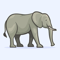Fototapeta na wymiar elephant isolated