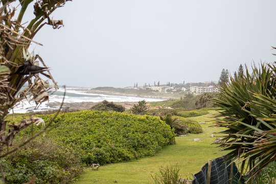 view of the ocean
