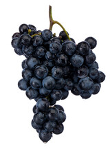 Dark blue grape with leaves isolated on white background