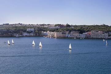 Fototapeta na wymiar sports single-seater sailing yachts with white sails at a training camp in Mahon Bay on a sunny day