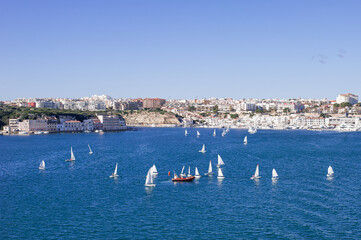 Fototapeta na wymiar sports single-seater sailing yachts with white sails at a training camp in Mahon Bay on a sunny day