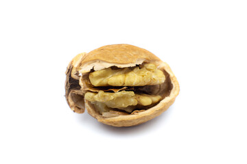 Crushed Walnut on white background.