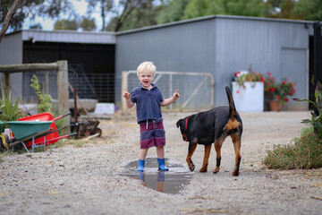 Happy little boy jumping and splashing in puddle with rottweiler dog