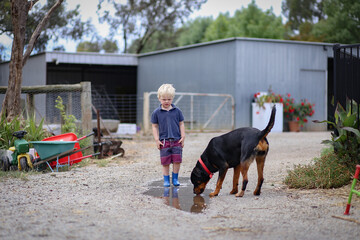Happy little boy jumping and splashing in puddle with rottweiler dog