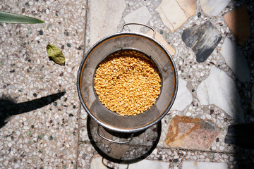 the grain used in Indian cookery