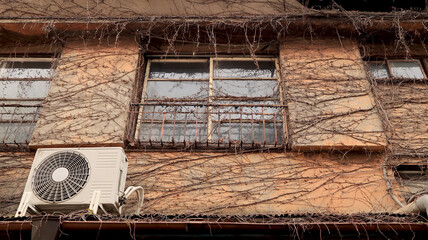 ツタに覆われた古い民家