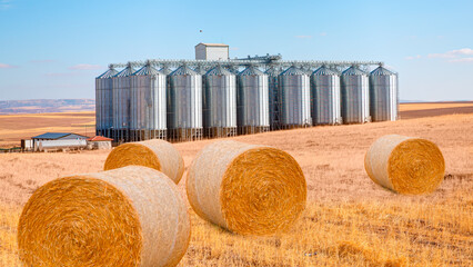 Agricultural Silos for storage and drying of grains, wheat, corn, soy, sunflower - Big round bales of straw in the meadow - Harvested field with straw bales in summer © muratart