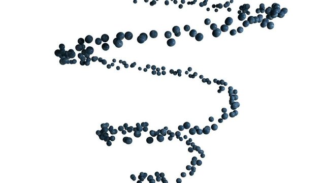 Blueberry fruit flying in helix shape, seamless loop, against white