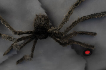 Artificial Big Black Spider Halloween Background