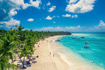Tropical carribbean beach