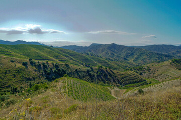 Vista de la comarca del Priorat, provincia de Tarragona, Catalunya.