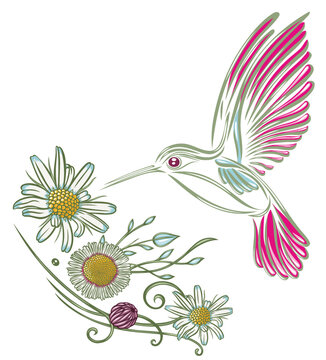 Wildblumen mit Kolibri, Margerite, Gänseblümchen, Klee und Blätterranken. Vektor Zeichnung.	