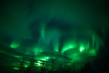 Poster northern lights aurora borealis winter in lapland © Dimitri