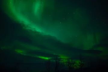 Poster de jardin Aurores boréales northern lights aurora borealis winter in lapland