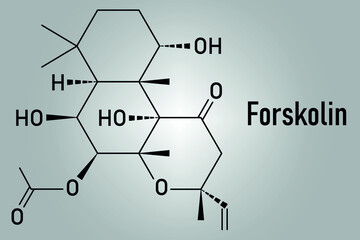 Forskolin (coleonol) molecule. Activates the enzyme adenylyl cyclase, resulting in increased levels of cAMP. Skeletal formula.