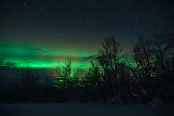 Fototapeta na wymiar northern lights aurora borealis winter in lapland