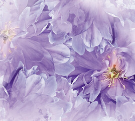 Watercolor purple tulips flowers. Floral  background. Closeup.  Nature.