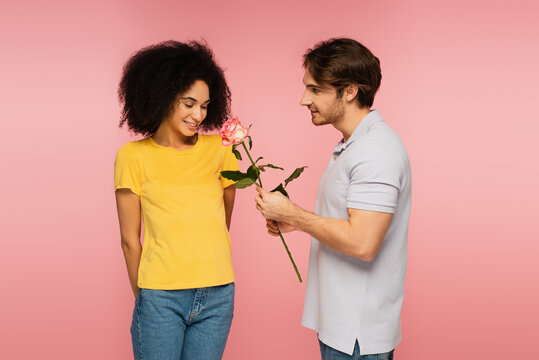 young man presenting rose to shy and happy latin woman isolated on pink.