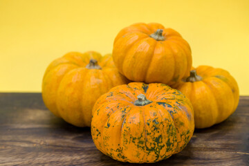 halloween pumpkin close-up with beautiful holiday background