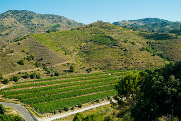 Vista de la localidas Porrera en la comarca del Priorat, provincia de Tarragona, Catalunya.