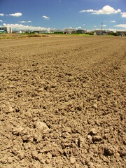 夏の郊外の耕作された畑風景