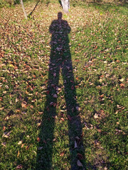 Shadow of a man at sunset. Against the background of mown autumn grass. Close-up.
